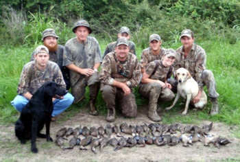 Teal hunts