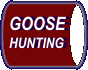 Goose Hunting