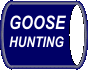 Goose Hunting